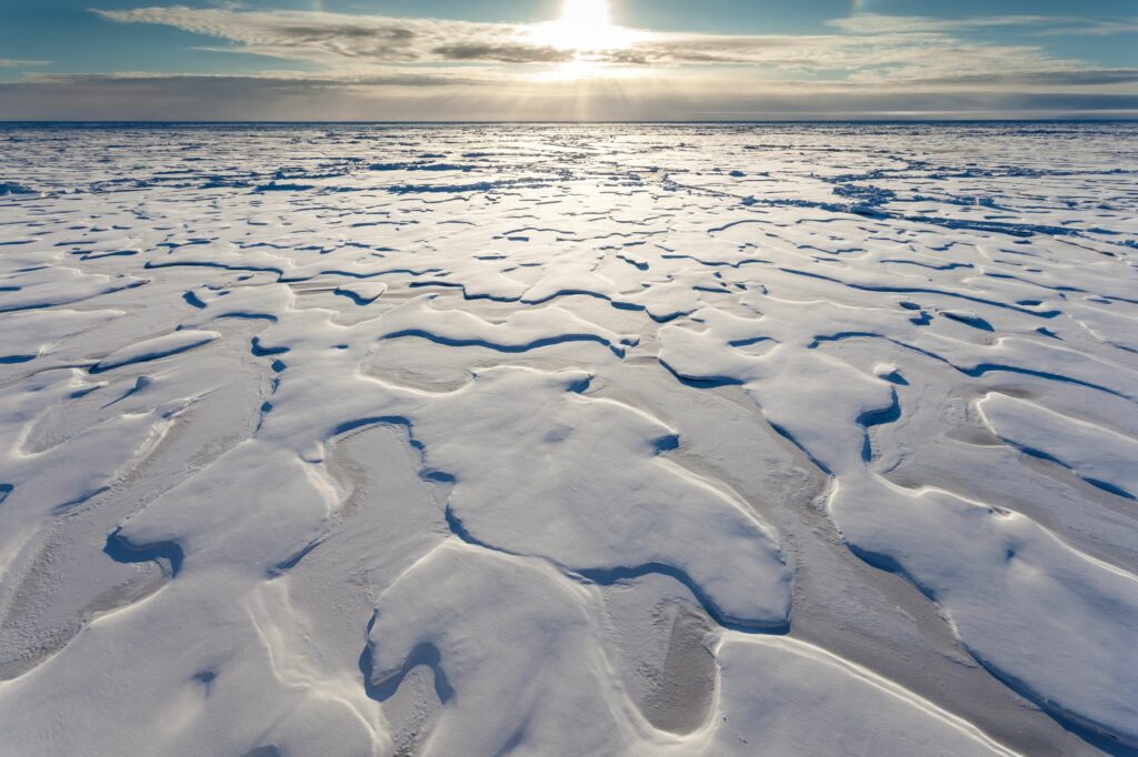 Arctic sea ice.